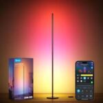 Govee LED Floor Lamp